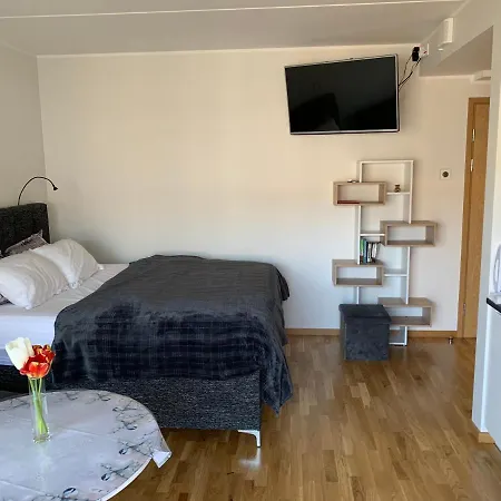 Apartmán Oja Tn 118 Apartment Pärnu