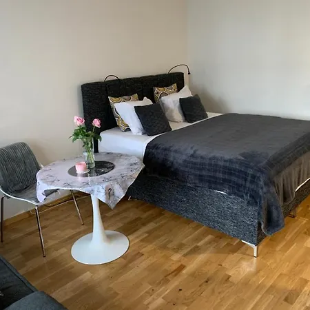 Oja Tn 118 Apartment-free Parking Appartamento *