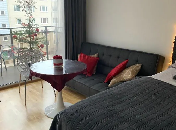 Oja Tn 118 Appartement Pärnu